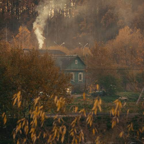 Photo #11388430