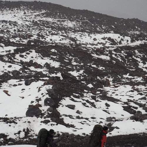 Photo #11388554