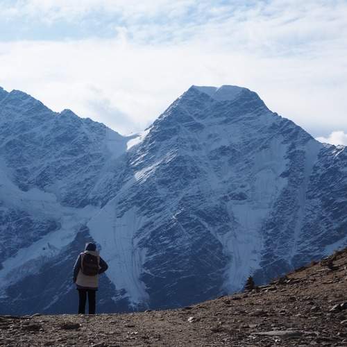Photo #11388571