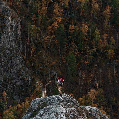 Photo #11388834
