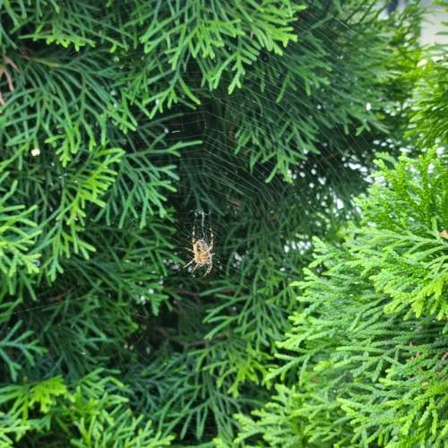 Photo #11389472