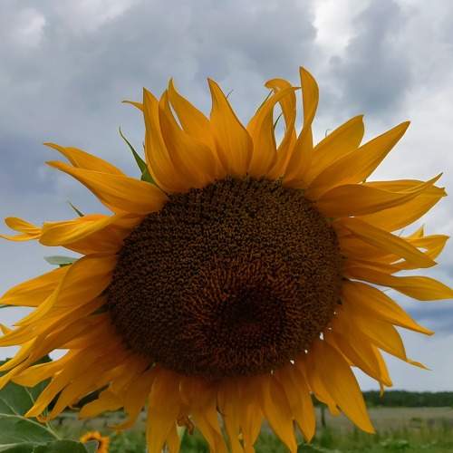 Photo #11389762
