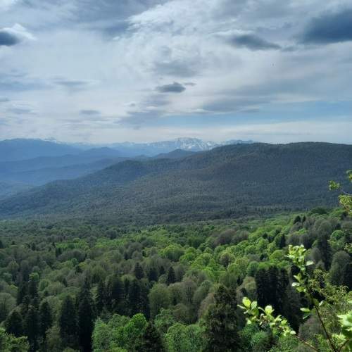 Photo #11390100