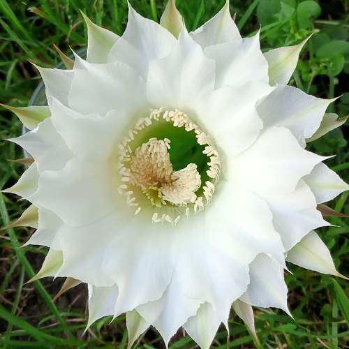 Photo #11390305
