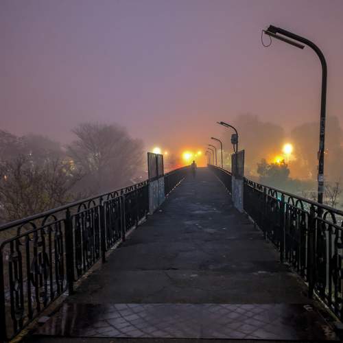 Photo #11390583