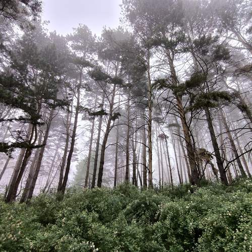 Photo #11390609