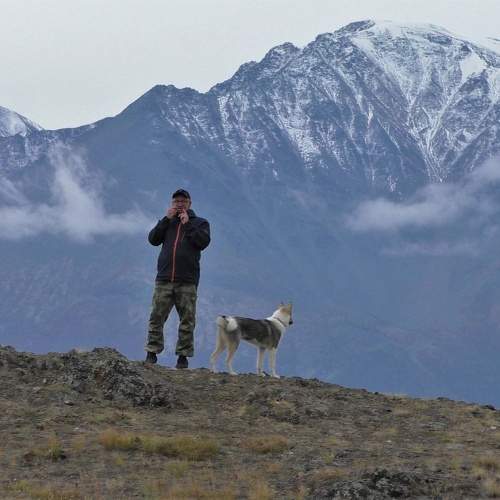 Photo #11391056