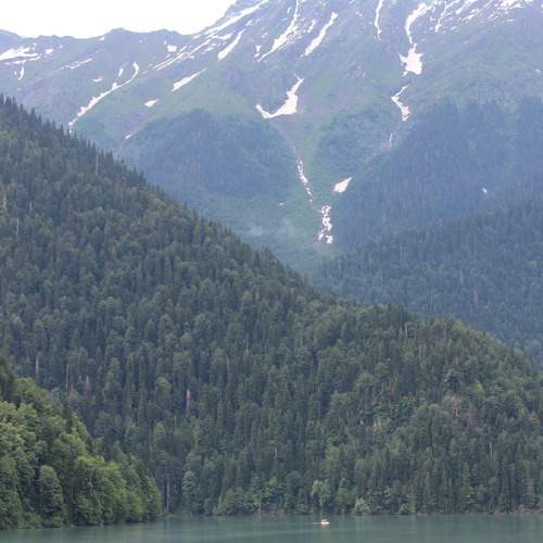 Photo #11391083