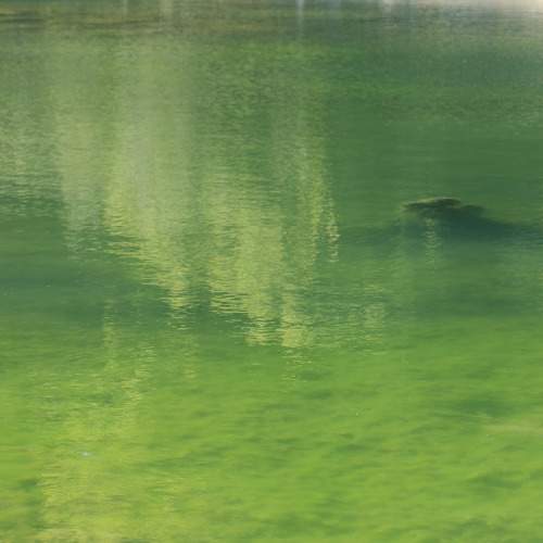Photo #11391084