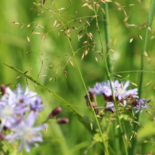 Photo #11391085