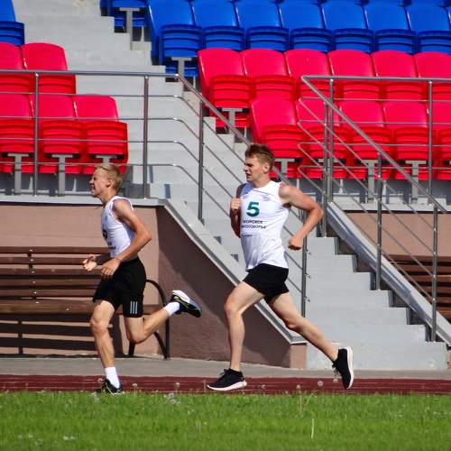 Photo #11391159