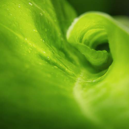 Photo #11391184