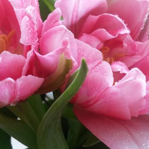 Photo #11391428