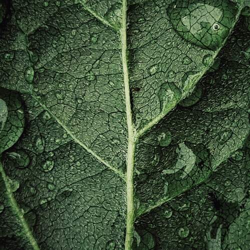 Photo #11391705