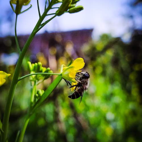 Photo #11391719