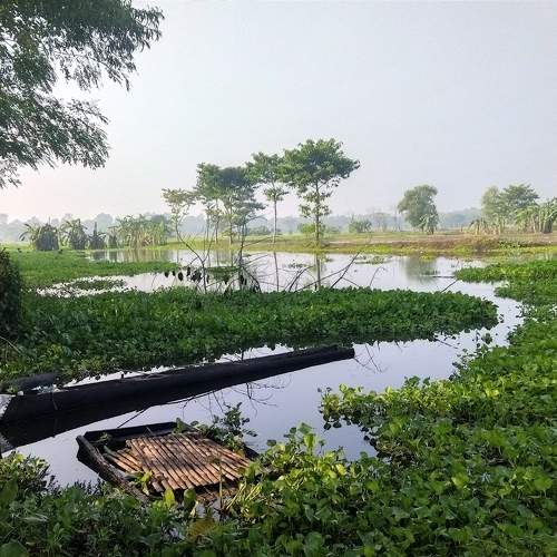 Photo #11391806