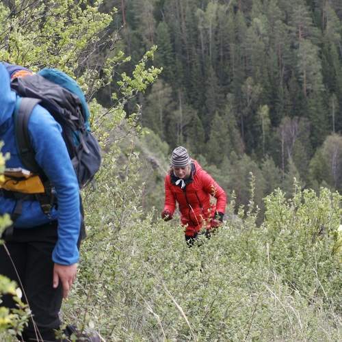 Photo #11392004