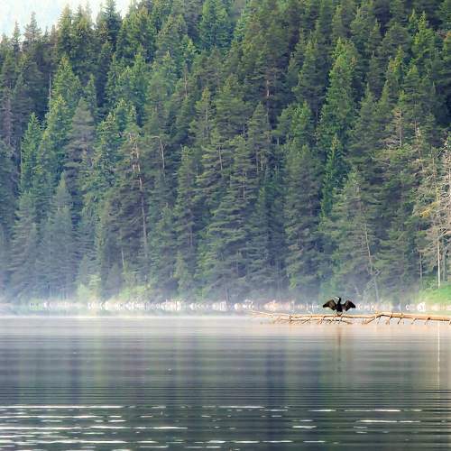 Photo #11392228