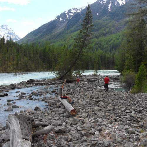Photo #11392373