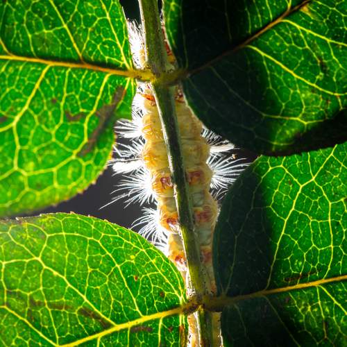 Photo #11392471