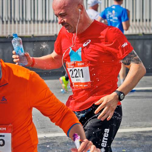 Photo #11392505