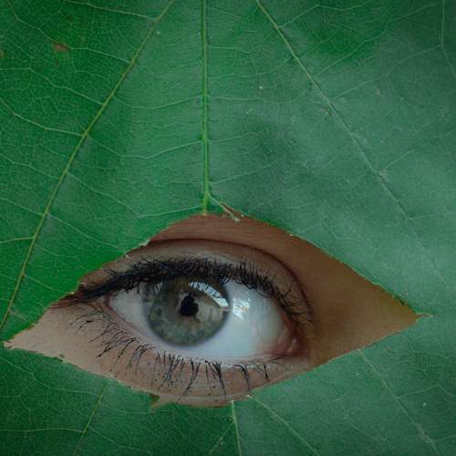 Photo #11392559