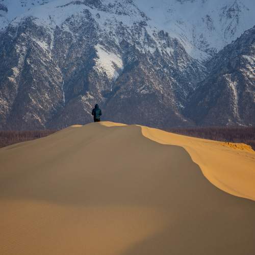 Photo #11392562