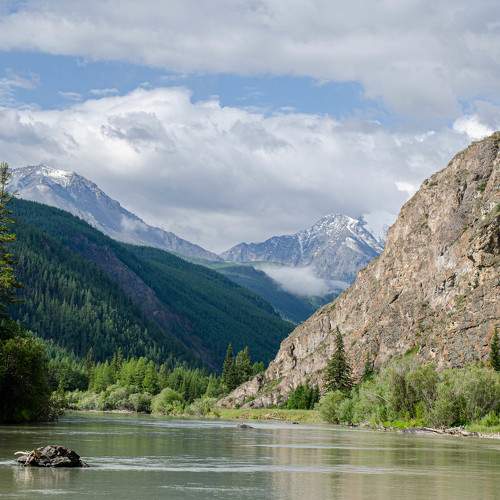 Photo #11392597