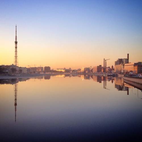 Photo #11393097