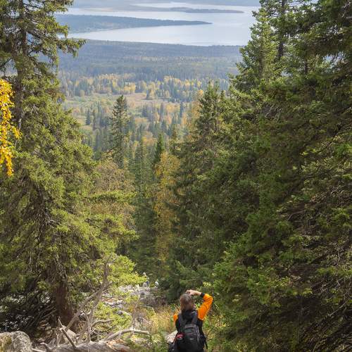 Photo #11393279