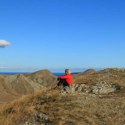 Photo #11393432