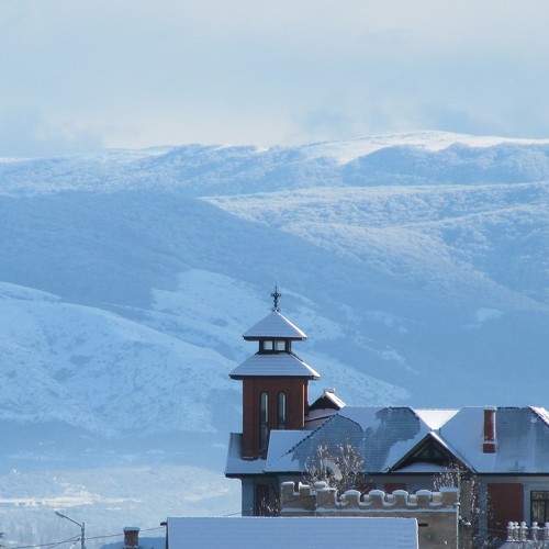 Photo #11393465