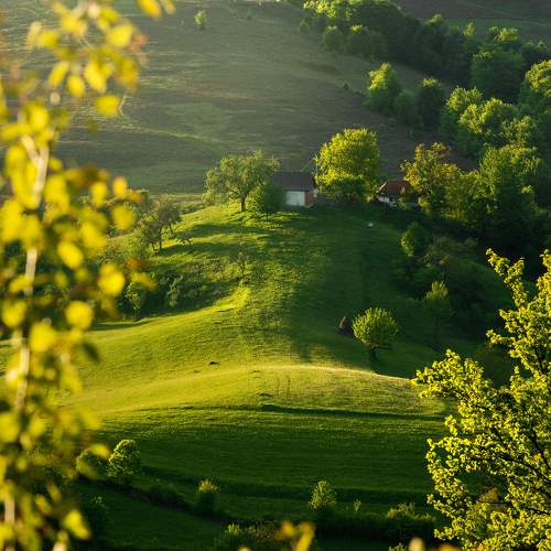 Photo #11393578