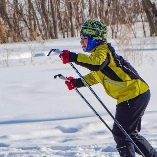 Photo #11393837