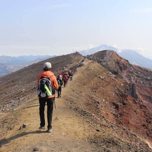 Photo #11394749