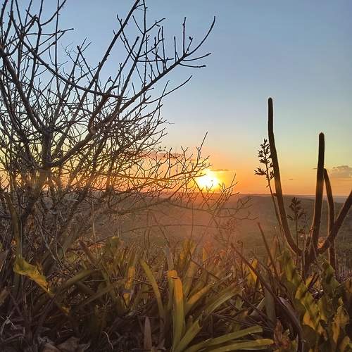 Photo #11394840