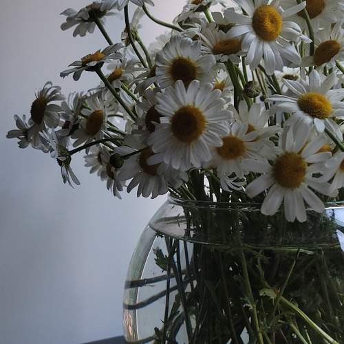 Photo #11394927