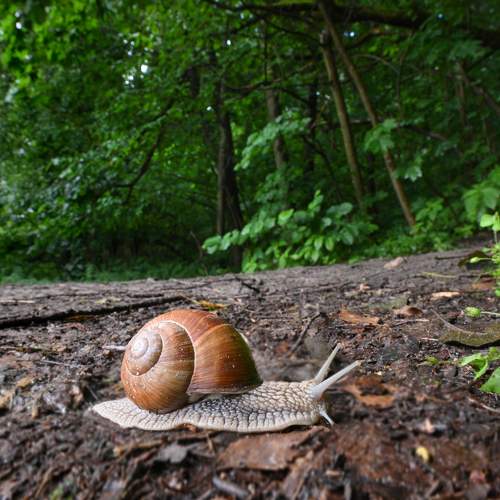 Photo #11394949