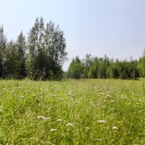 Photo #11394953