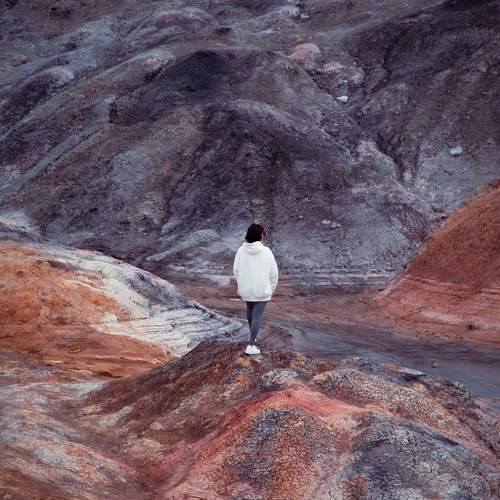 Photo #11394955