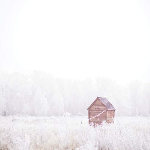 Photo #11394969