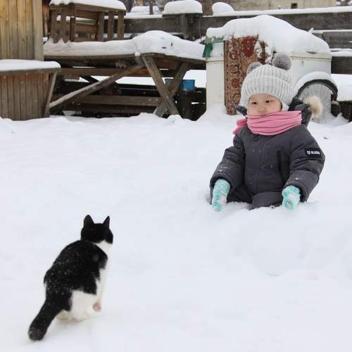 Photo #11394970