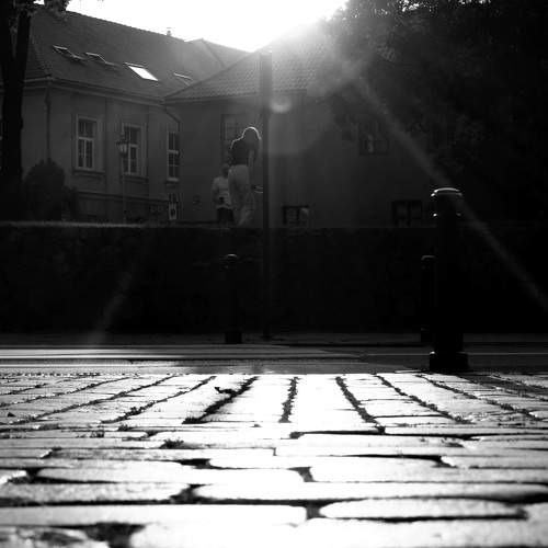 Photo #11395138