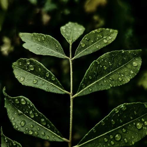 green leaves