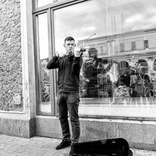Photo #11395824