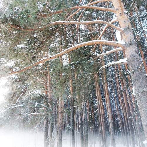 Photo #11395874