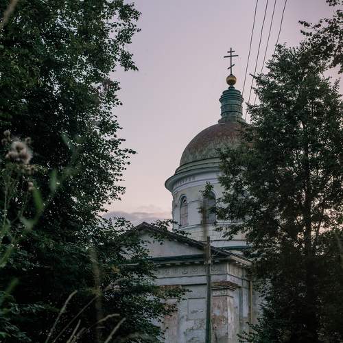 Photo #11395894