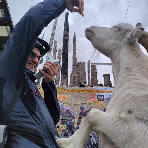 Photo #11396039