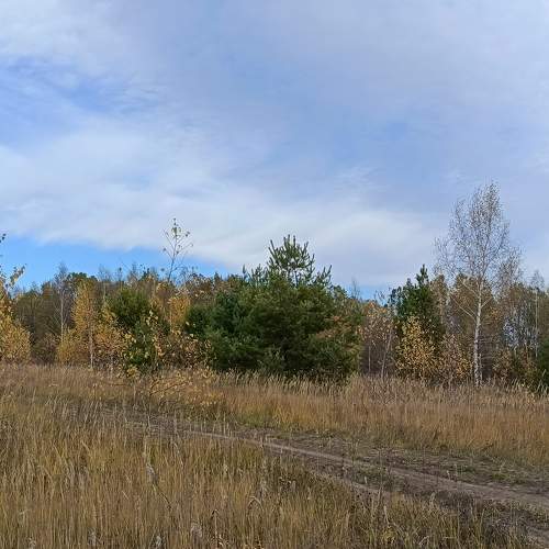 Photo #11396094