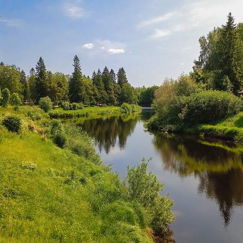 Photo #11396104